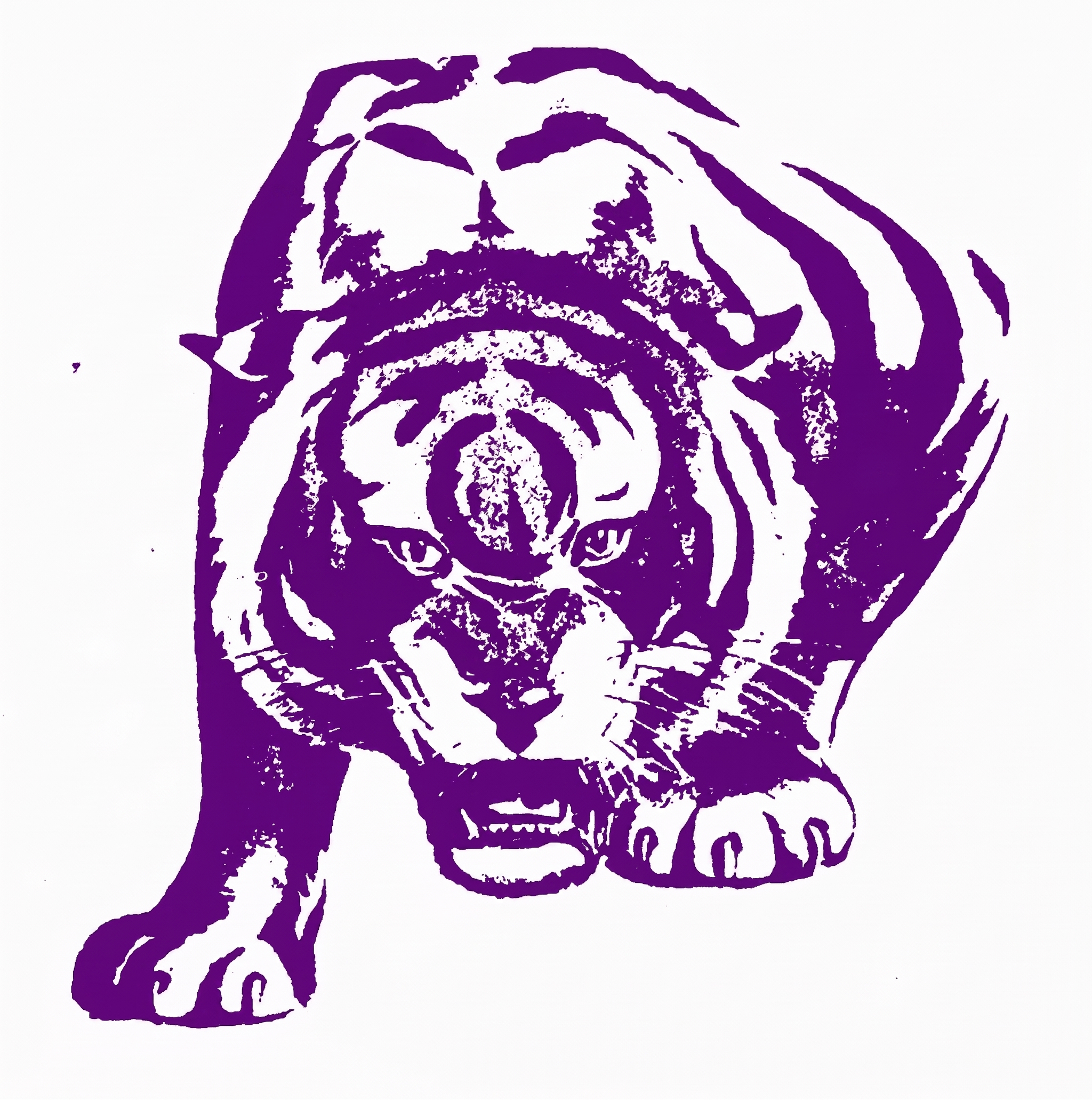 Northside High School Tiger